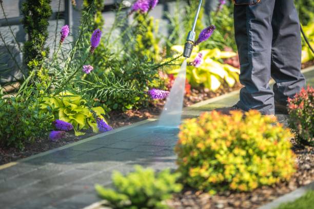 Best Gutter Cleaning  in Oak Harbor, OH